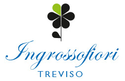 Logo Cliente 6