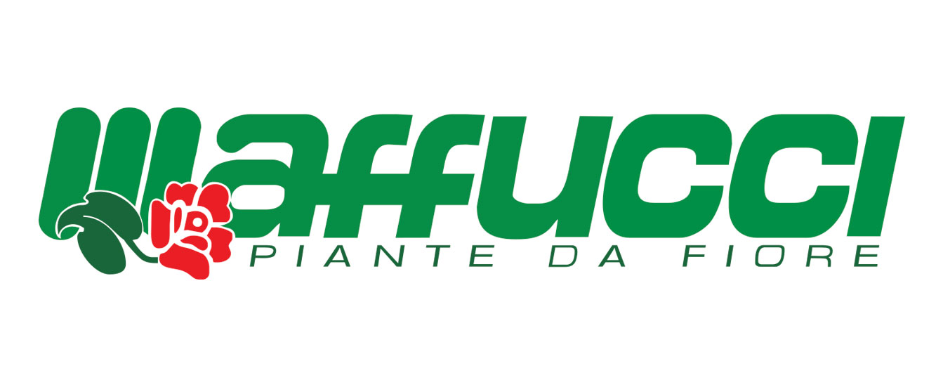 Logo Cliente 2